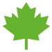 canada_icon